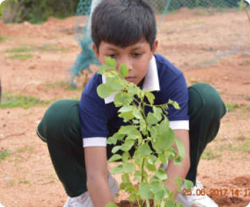 Outdoor Learning Cente